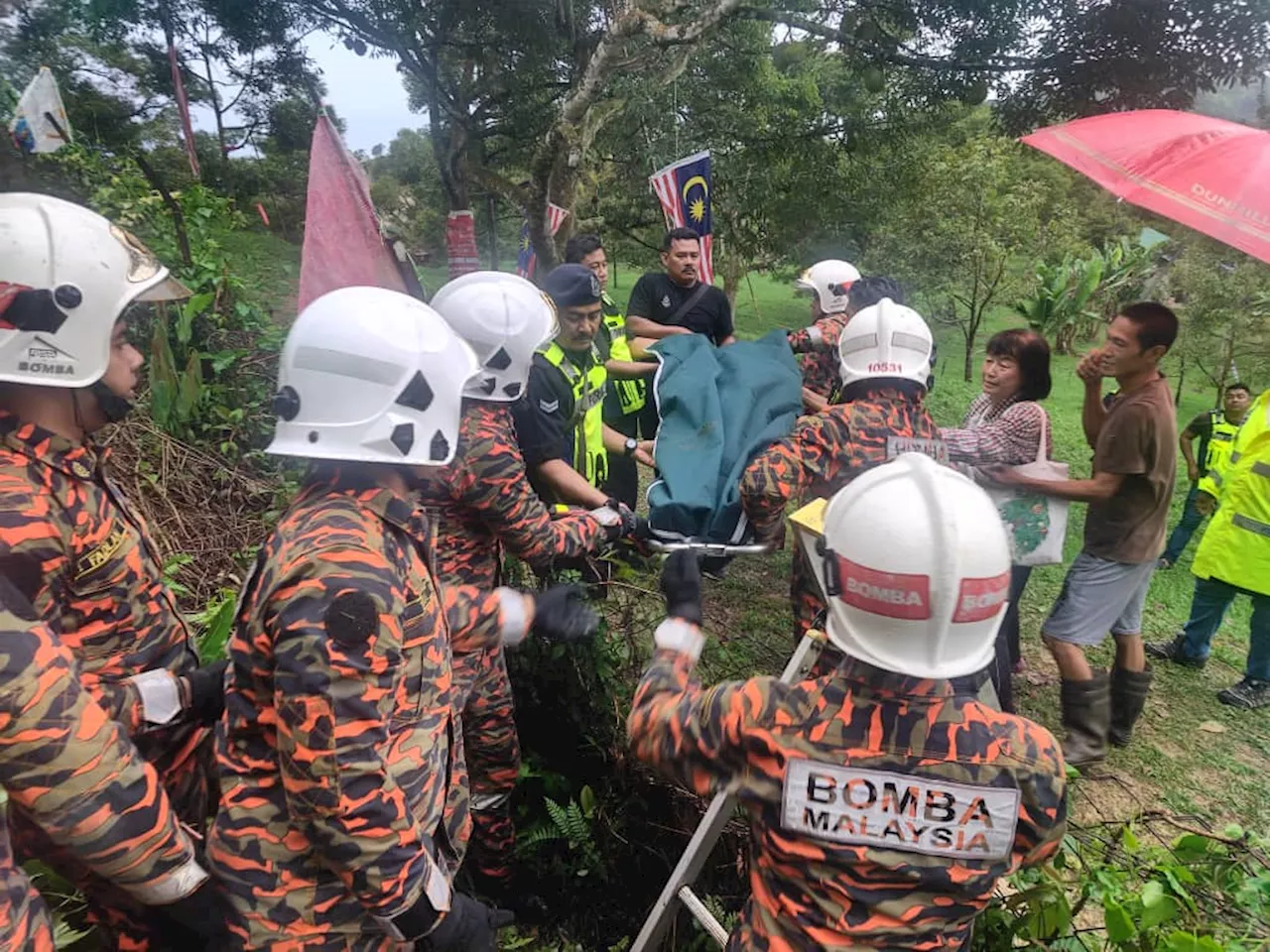 Warga emas maut ditimpa dahan pokok