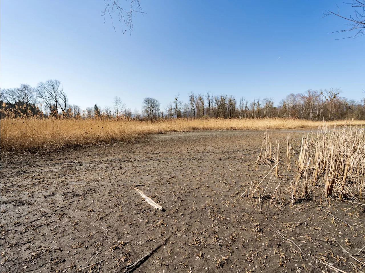 Neue Analyse warnt: Vorarlbergs Flüsse verlieren dramatisch an Wasser