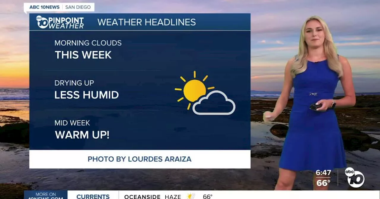 San Diego's Weather Forecast for July 20, 2025: Cloudy sky starts and less humidity