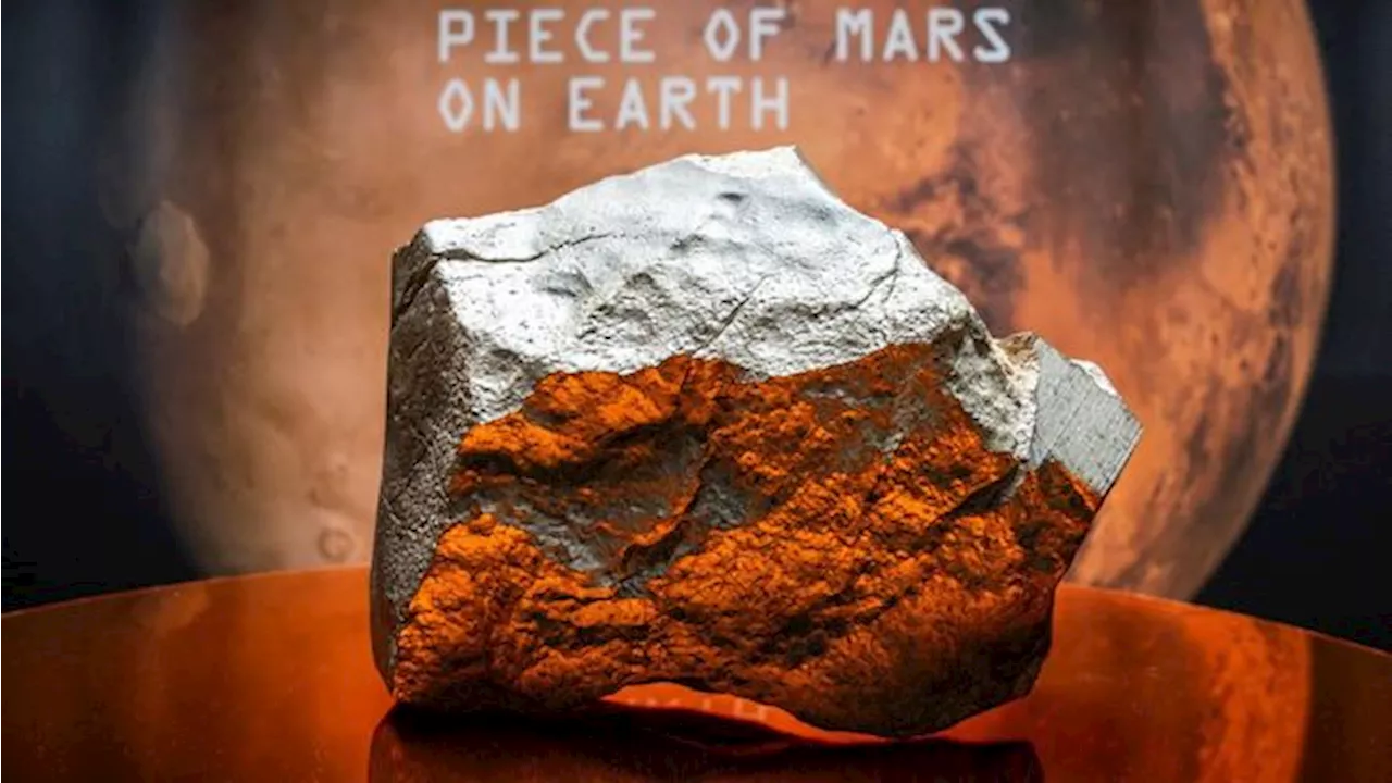 Potret Batu Raksasa dari Planet Mars Laku Terjual Rp86 Miliar!
