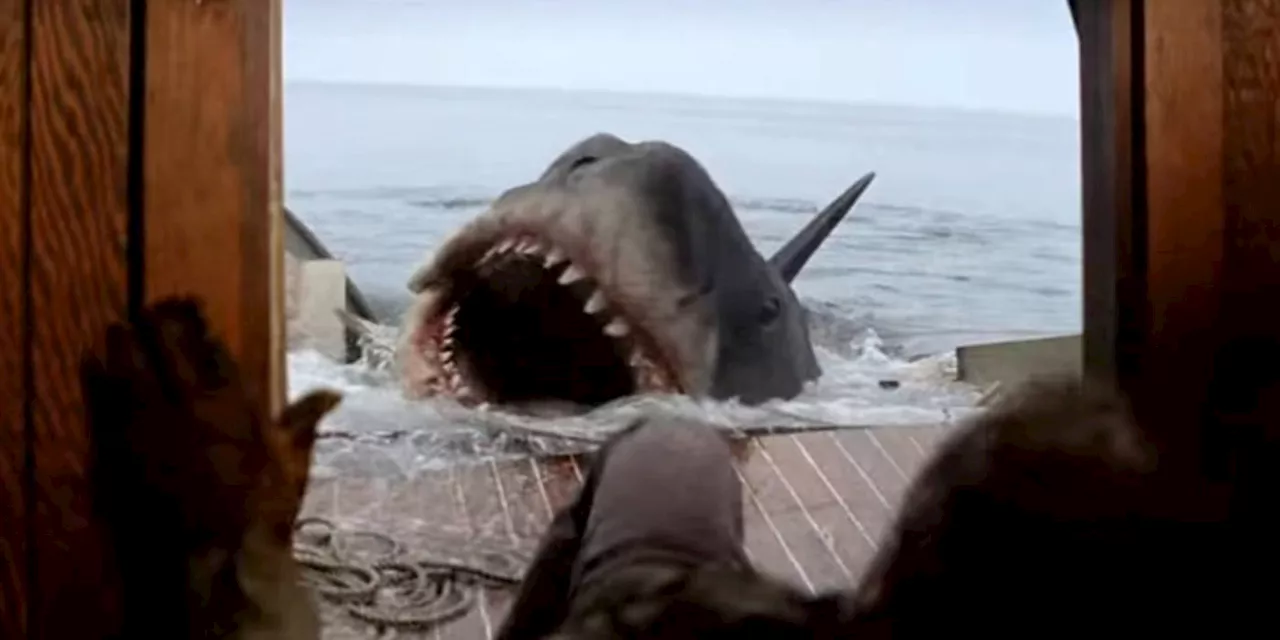 Why Spielberg Had to Push So Hard For Jaws’ Explosive Ending (& Why He Was Right)