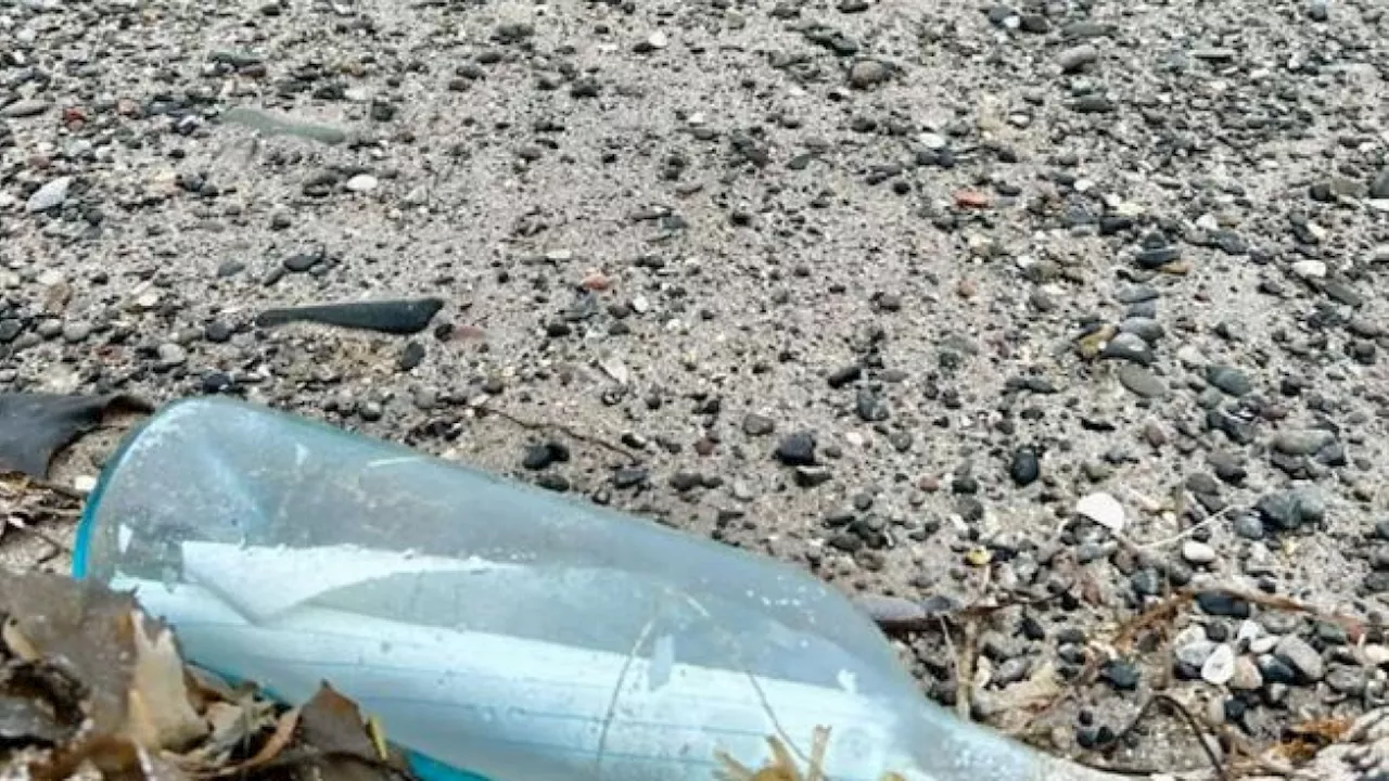 Amore e social, non tutto è perduto: la lettera in bottiglia di una coppia da Terranova all'Irlanda, tredici anni dopo