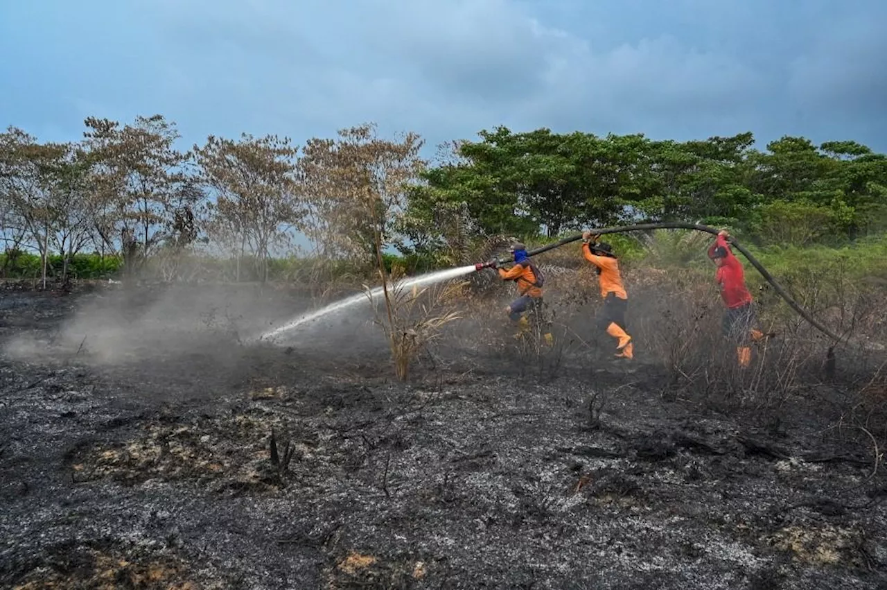 Don't blame the weather: Recent forest fires sparked by humans, says Bomba