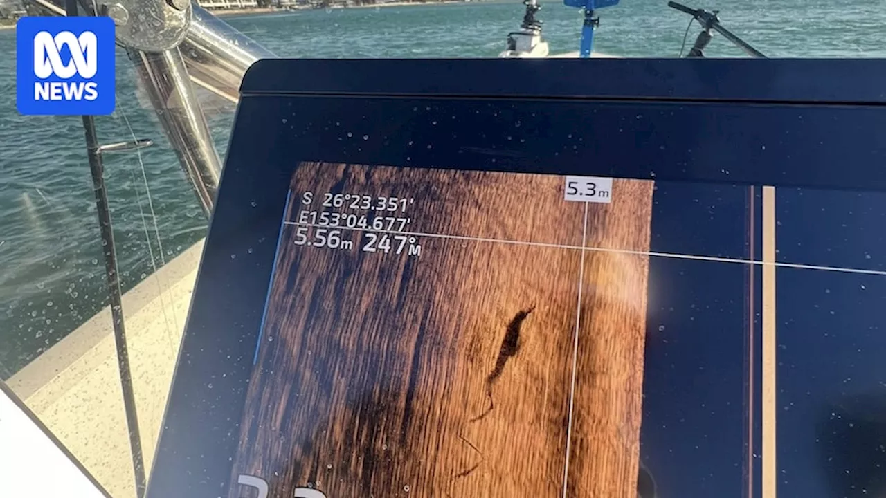 Noosa fisherman captures underwater image of possible crocodile sighting