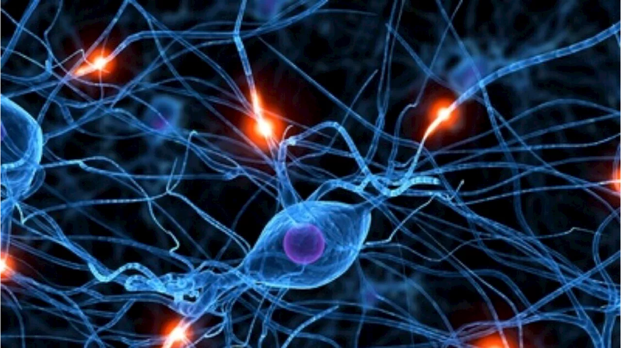 Scoperte le spie molecolari di Alzheimer e Parkinson