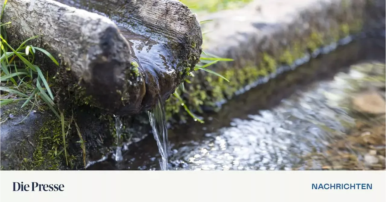 Alpine Quellen: Trinkwasserbedarf noch gedeckt