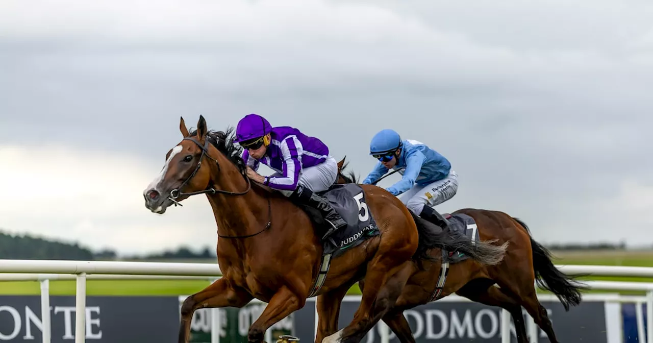 Minnie Hauk’s Irish Oaks success extends Aidan O’Brien’s stunning Group One winning streak