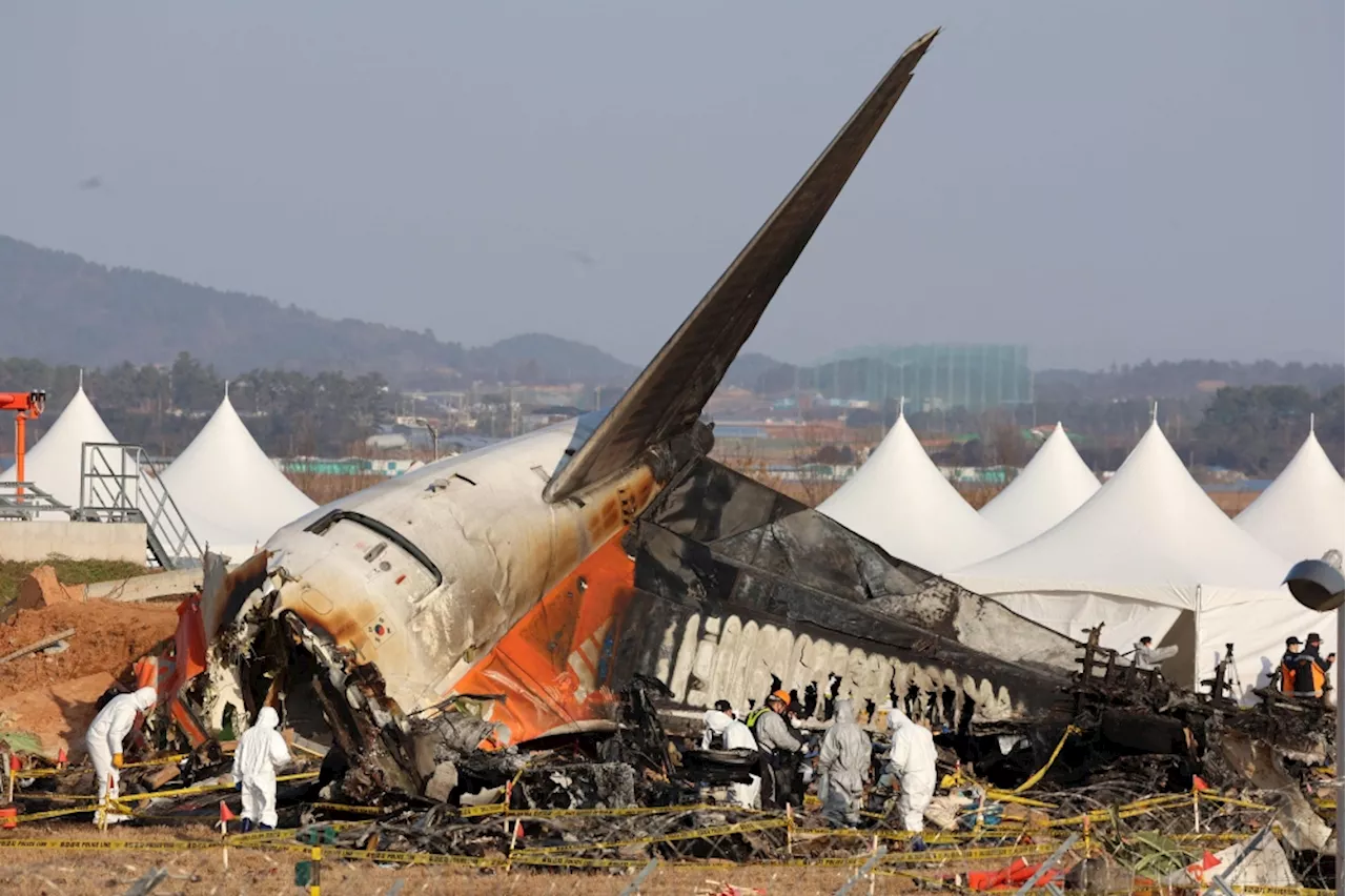 Pilots shut off wrong engine after bird strike in deadly Jeju Air crash, source claims
