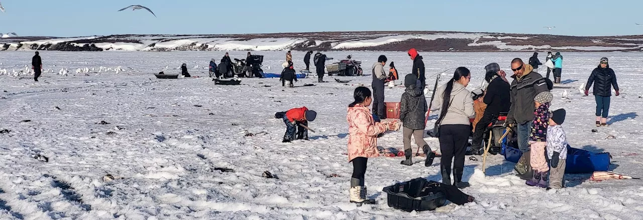 NOAA teams up with Alaskans to create a new tool to predict ice breakup