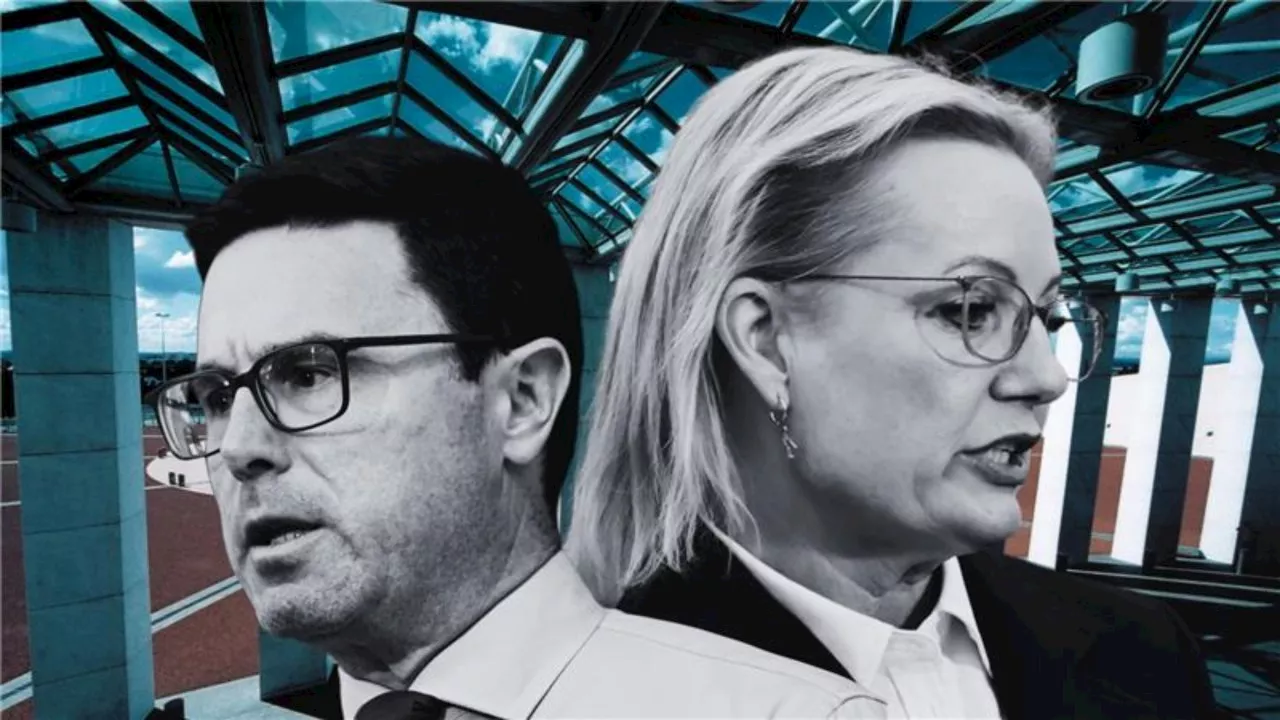 Coalition bleeds support as policy drift fuels ‘brutal’ poll result
