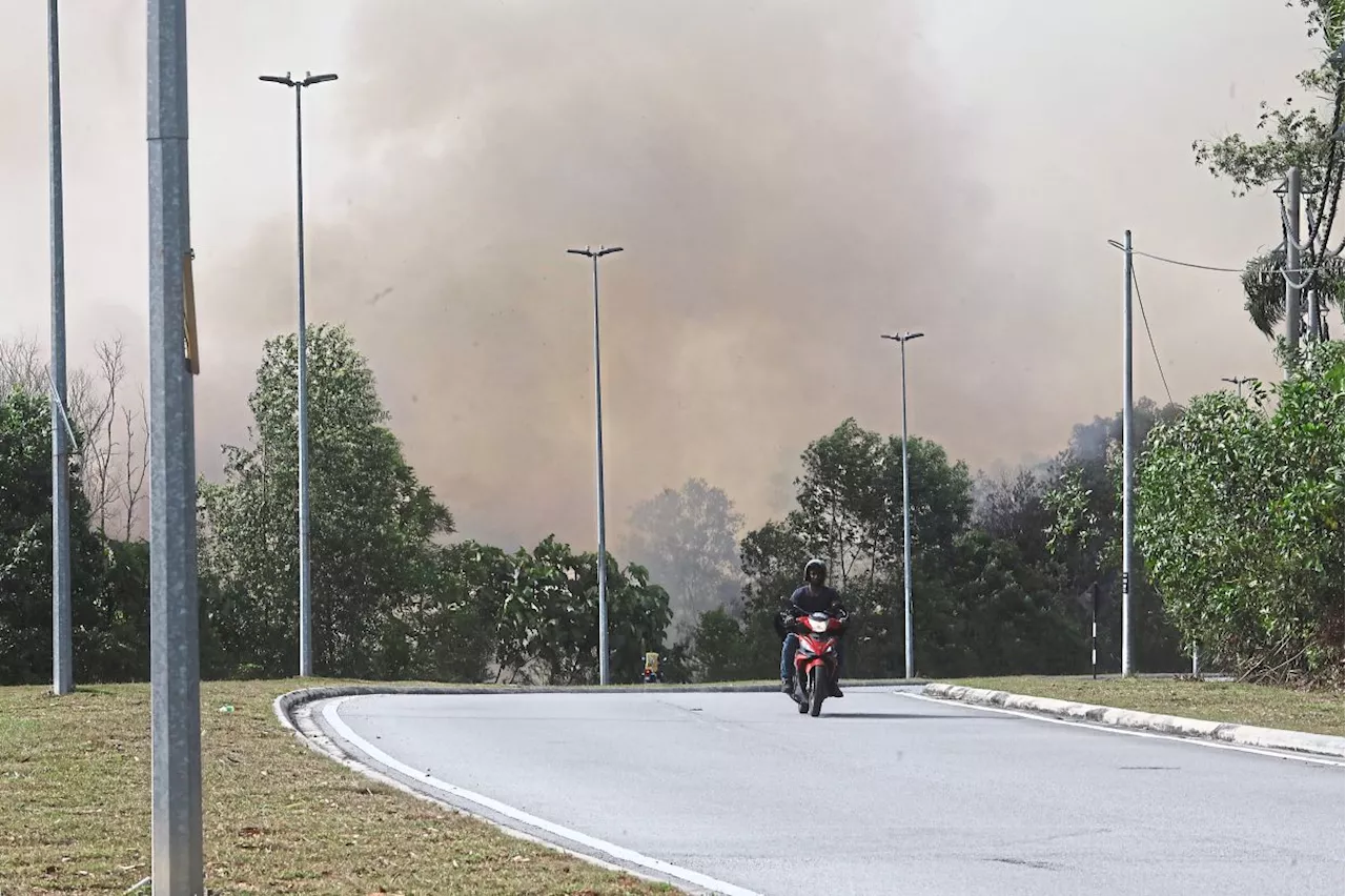 Human activity blamed for recent fires