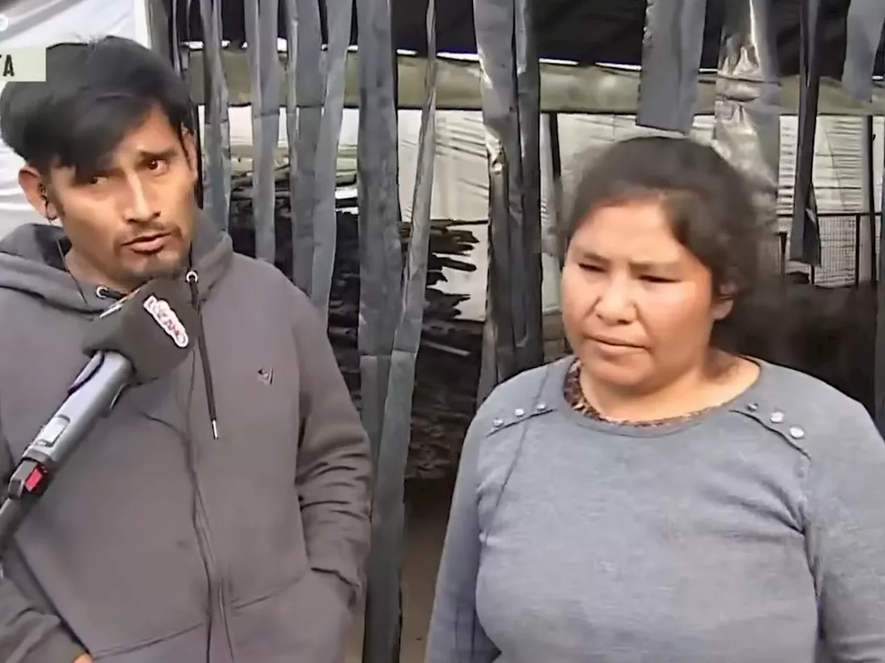 'Ladraban pero no mordían': hablaron los dueños de los perros que habrían matado al nene de dos años de La Plata