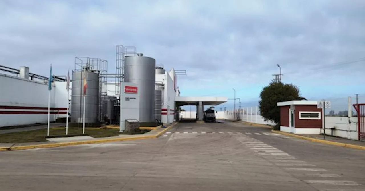 La láctea Verónica en venta: negoció con un gigante del sector y escucha ofertas de otros interesados