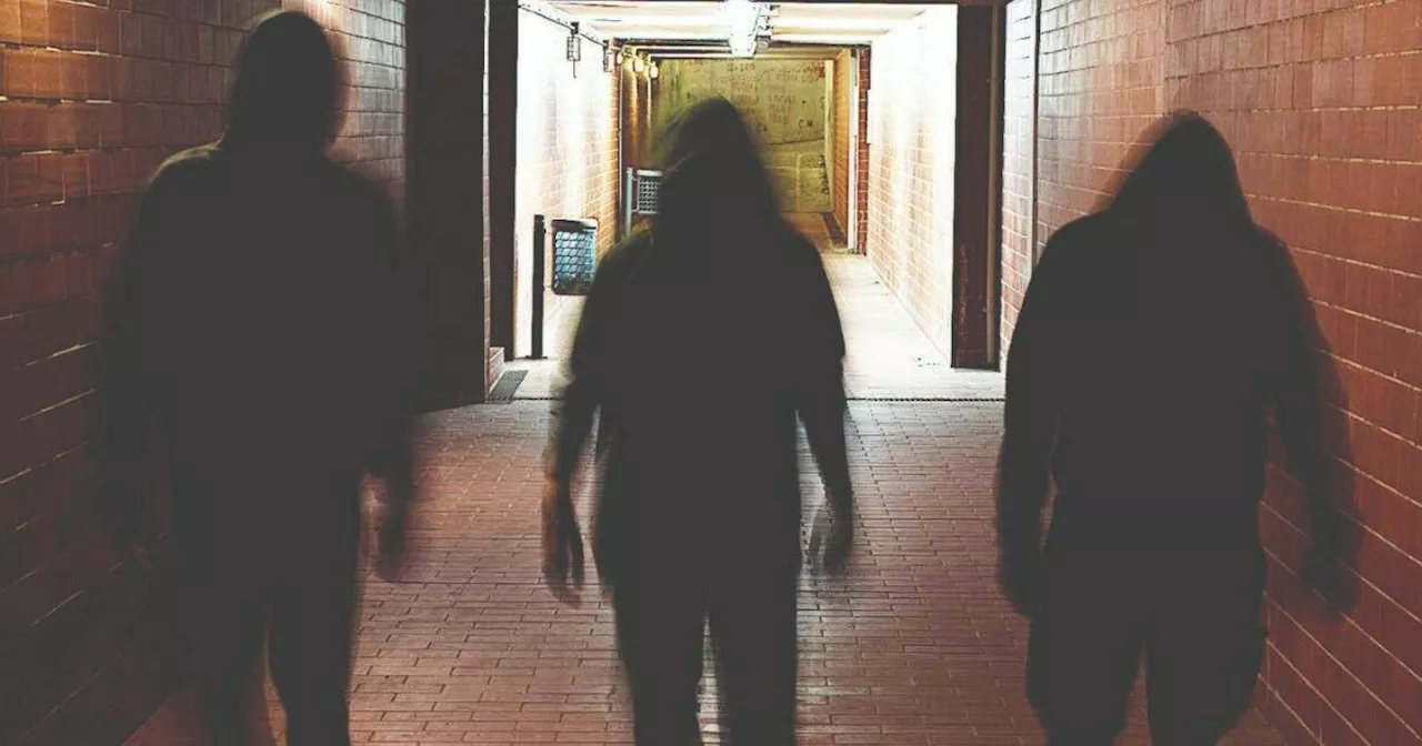 “Per ballare qui dovete pagare”: baby gang minaccia e lancia petardi contro una compagnia di…
