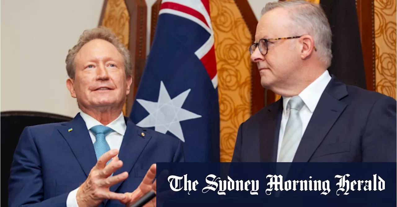 ‘Twiggy’ Forrest-led business campaign demands Albanese go greener