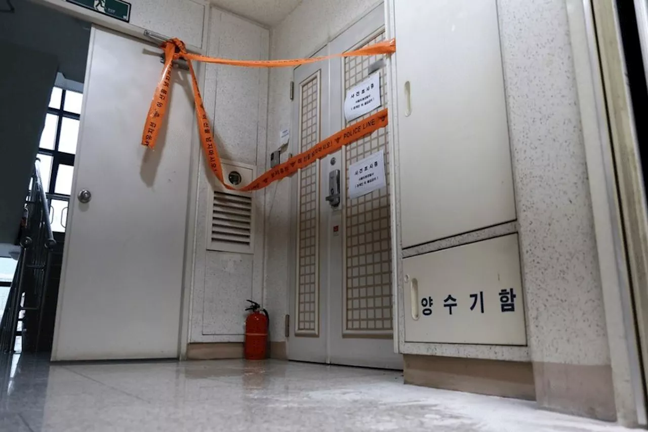 Fatal shooting in South Korea sparks alarm over DIY firearms