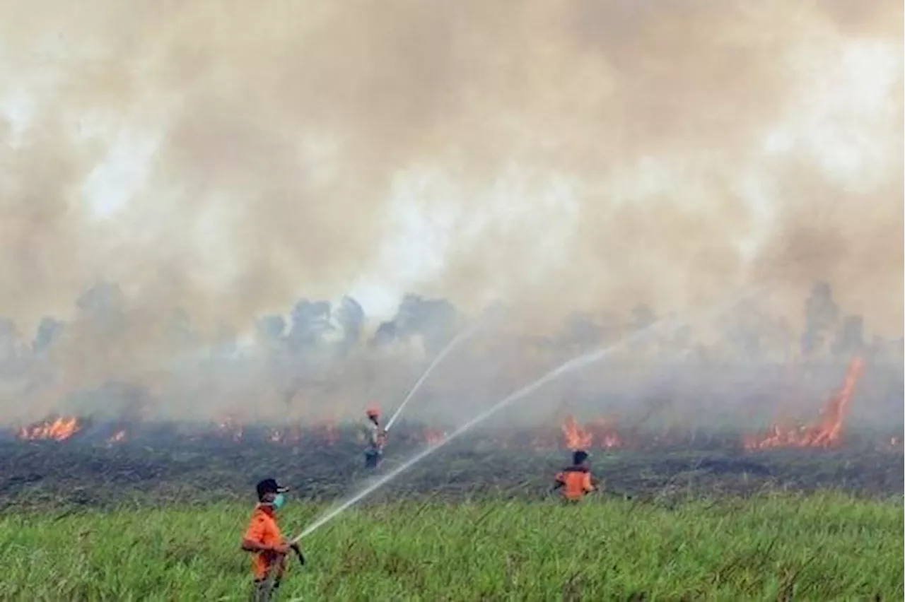Two regencies in Indonesia's West Sumatra declare Emergency as forest fires spread