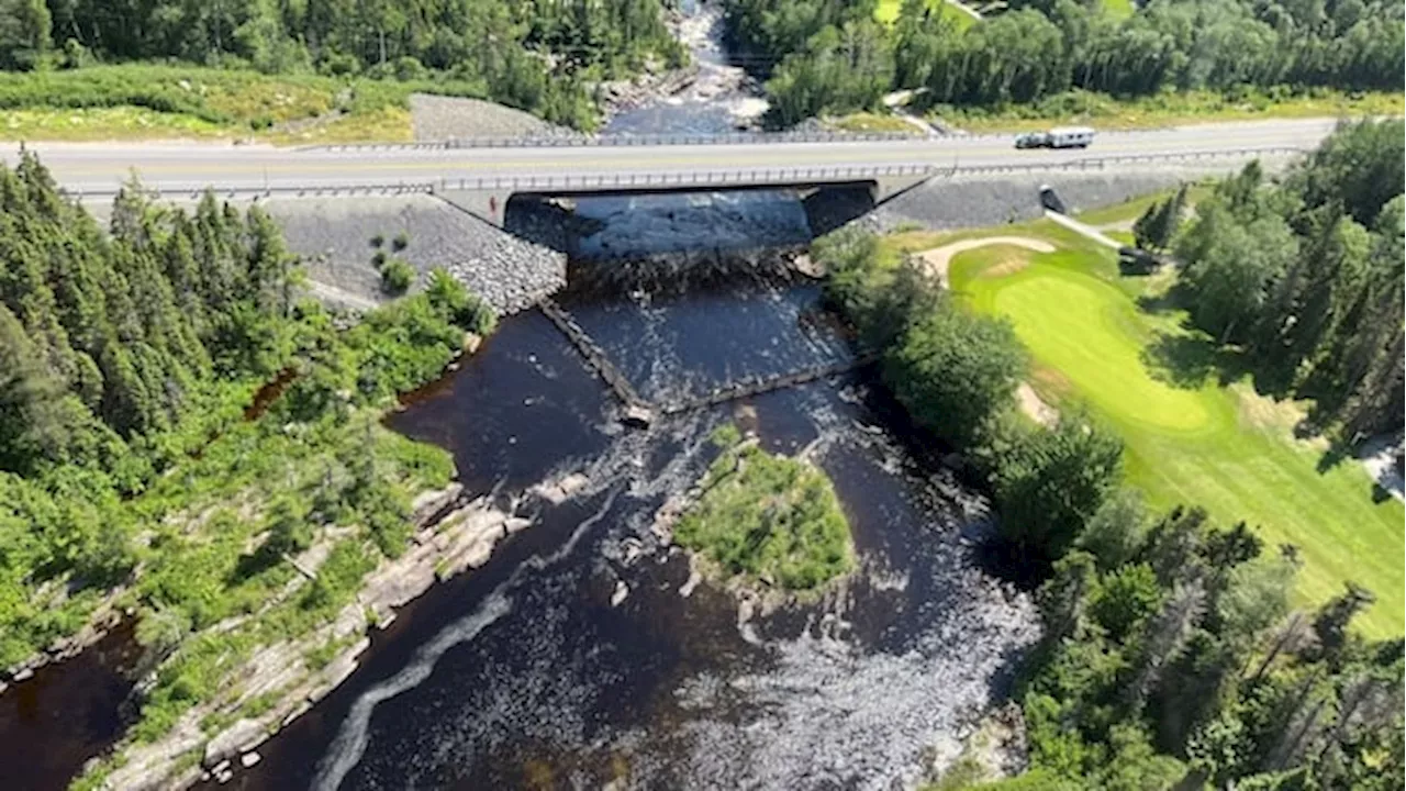 No doubt there's a drought — scientist says N.L. water levels are historically low
