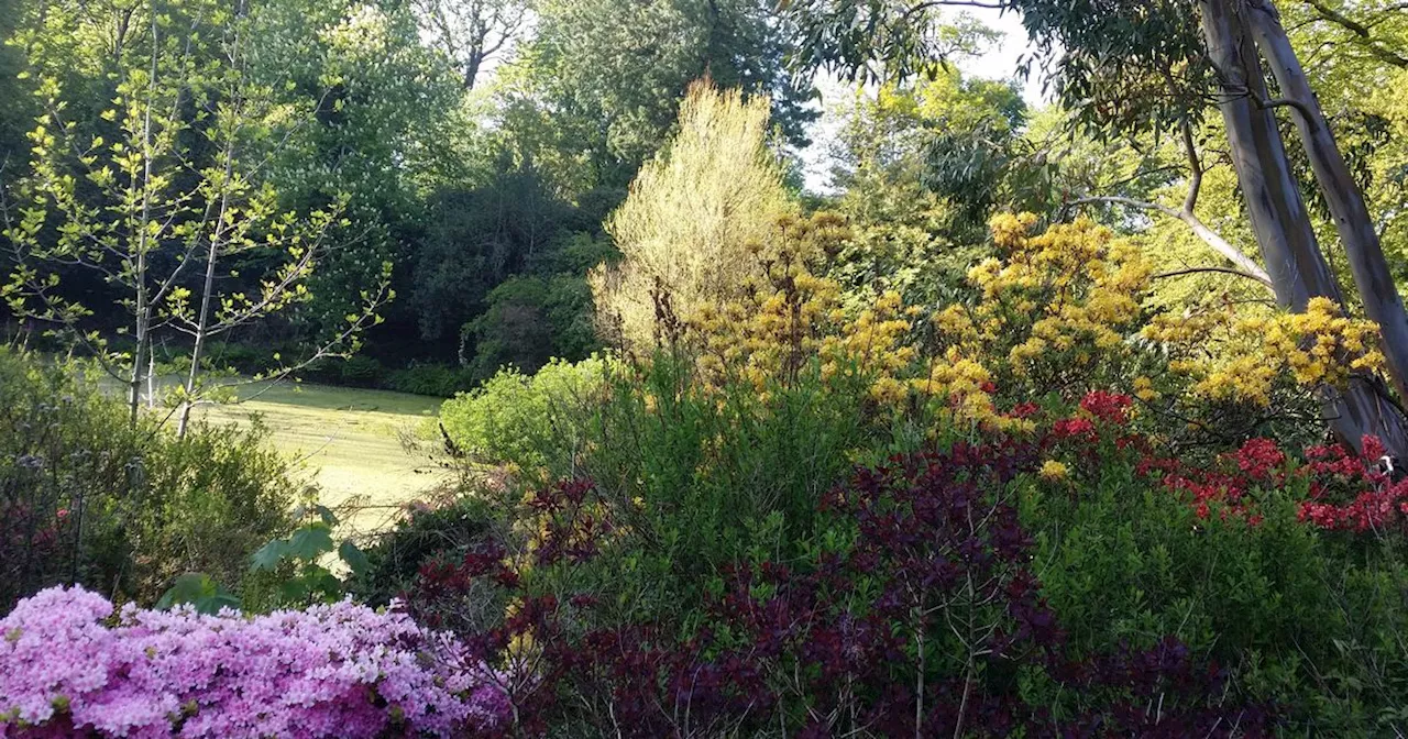 The Scottish garden with beach that was named 'best seaside garden' in the country