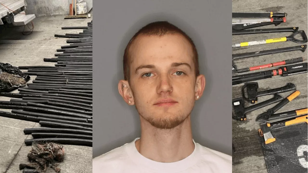 Investigation leads to felony charges for cut utility wires in King County