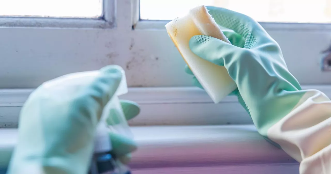 UK households urged to ditch bleach and use three common kitchen staples instead to banish mould