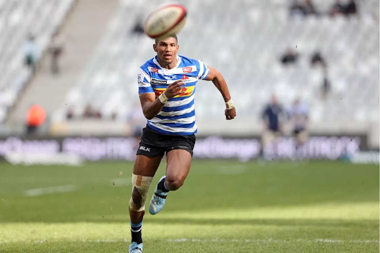 WP pack Currie Cup squad with EIGHT Junior Springbok champions