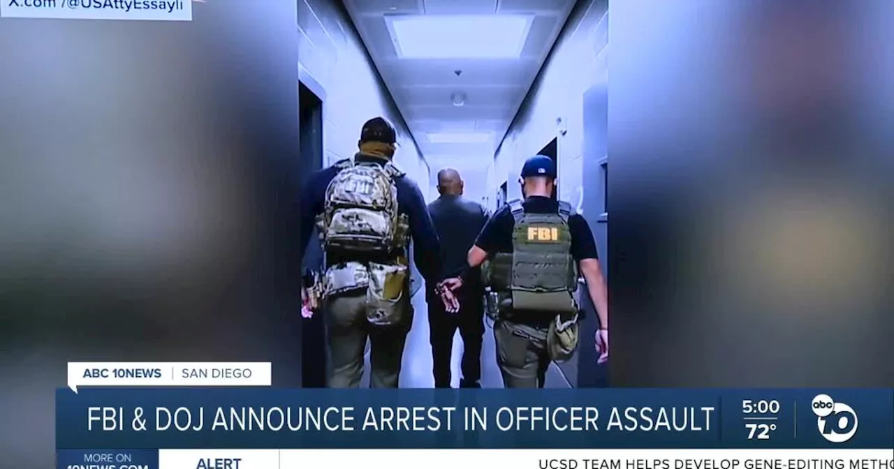 Man accused of assaulting federal officers arrested at San Ysidro Port of Entry