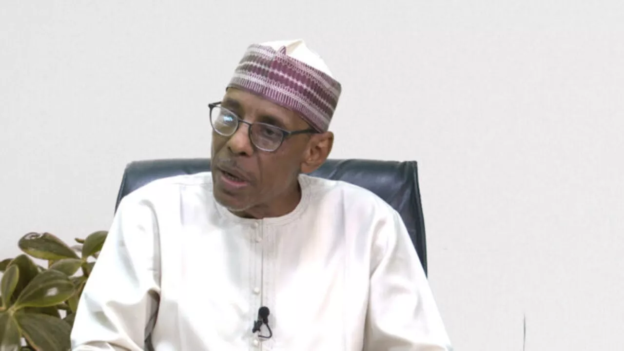 Tinubu should have dismissed Shettima replacement rumours – Baba-Ahmed faults President’s silence