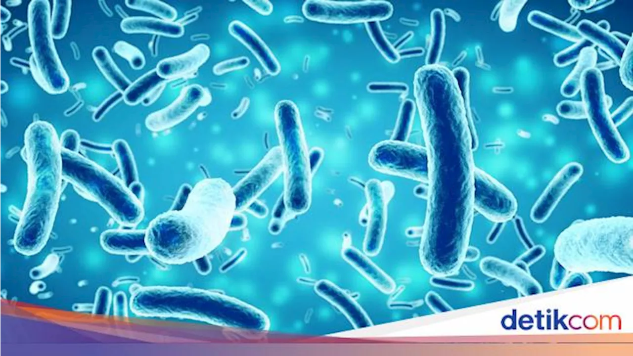 Apakah di Indonesia Ada Bakteri Pemakan Plastik? Begini Jawaban Peneliti UI
