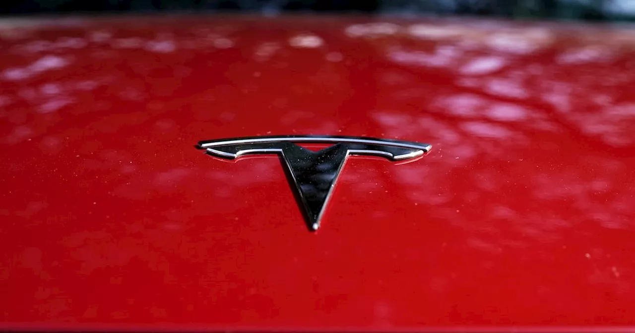 ¿Será la solución? Tesla está construyendo su primer auto a precio asequible para enfrentar la caída en ventas