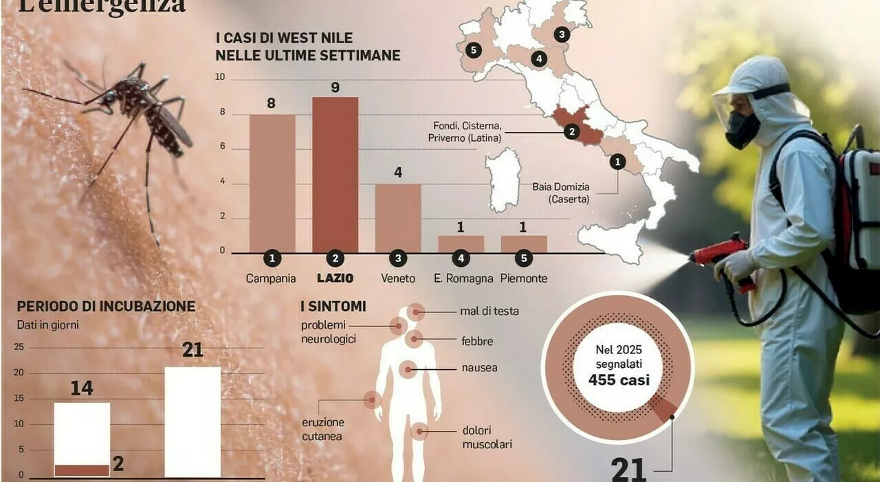 West Nile, contagi sospetti: nel Lazio disposti controlli sulle sacche di sangue donato. Allerta ad Anzio, 21