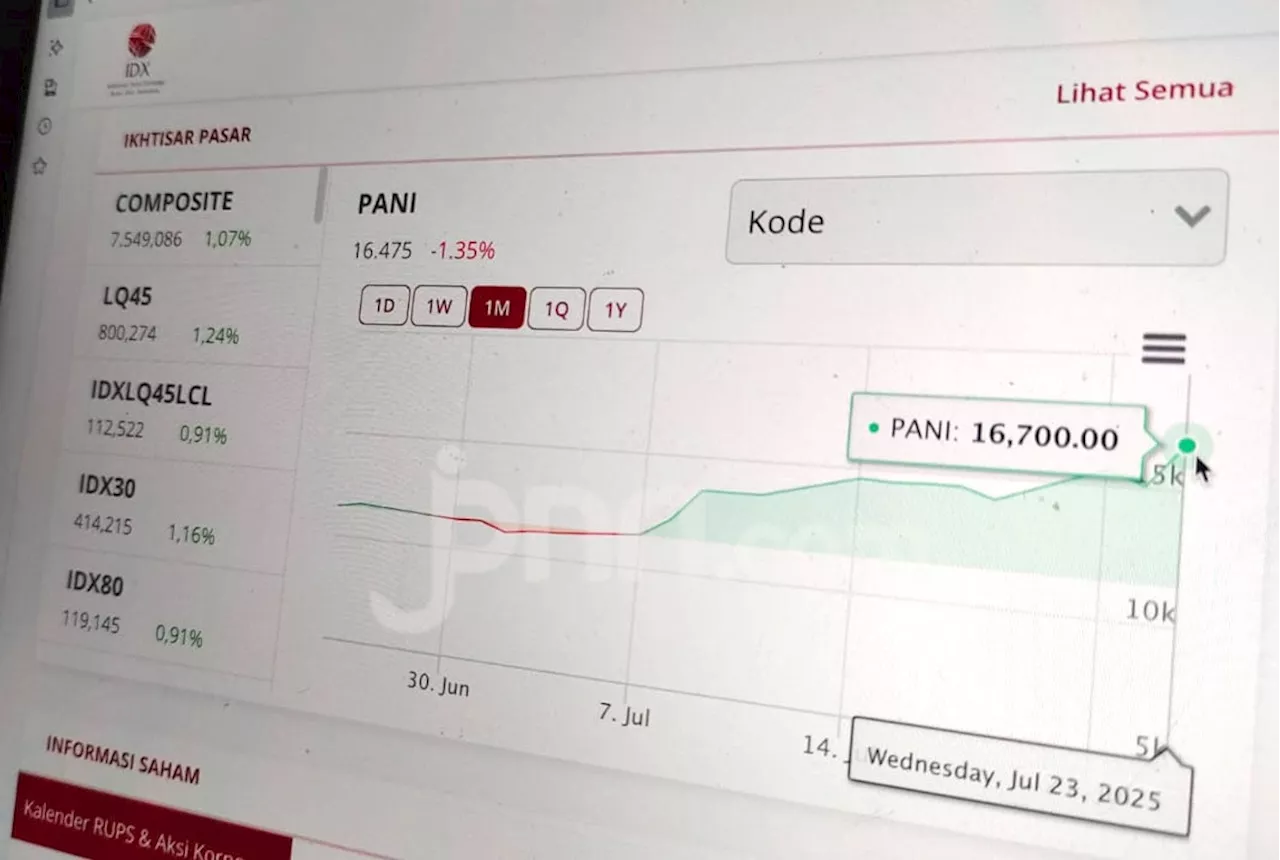 Harga PANI Menembus Rp 16.700, Lonjakannya di Luar Prediksi Analis