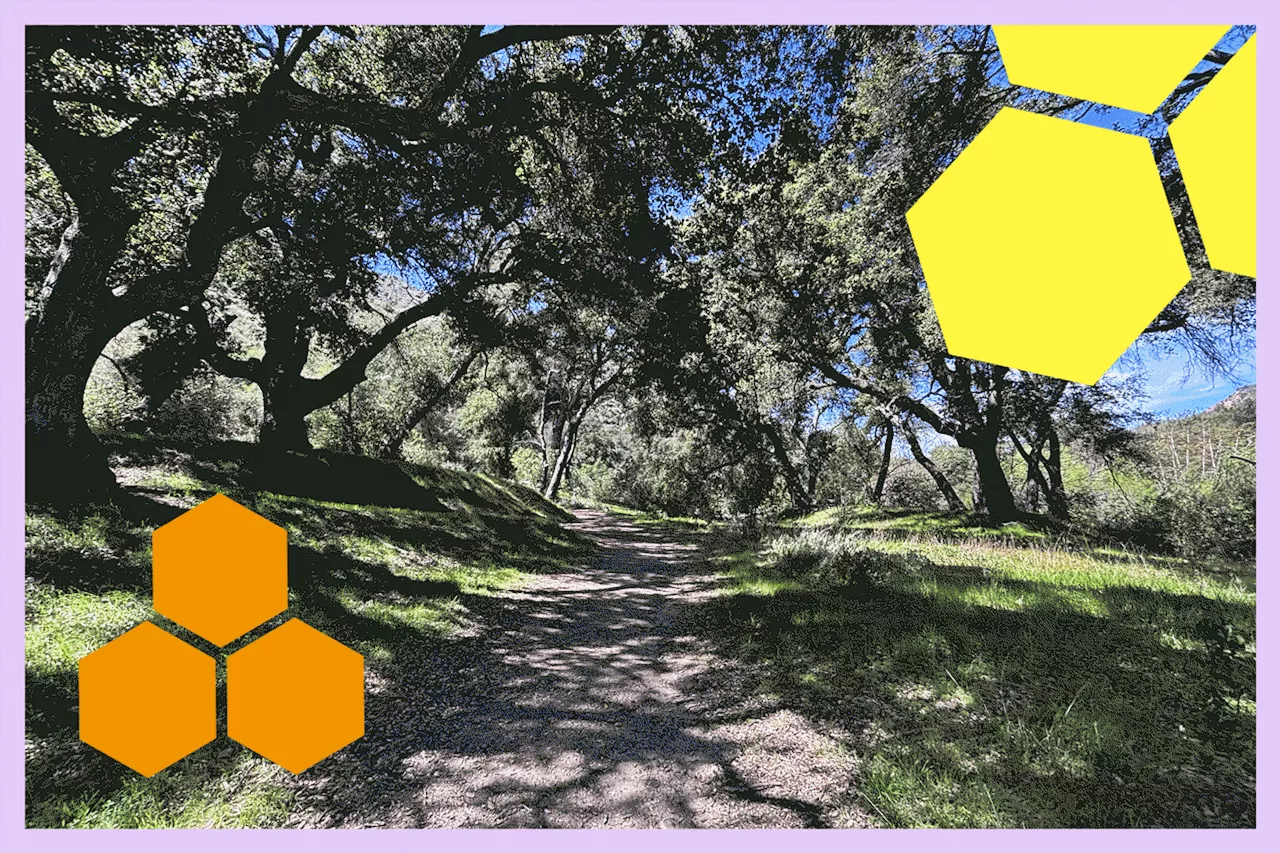 How to find the shadiest hikes around L.A.