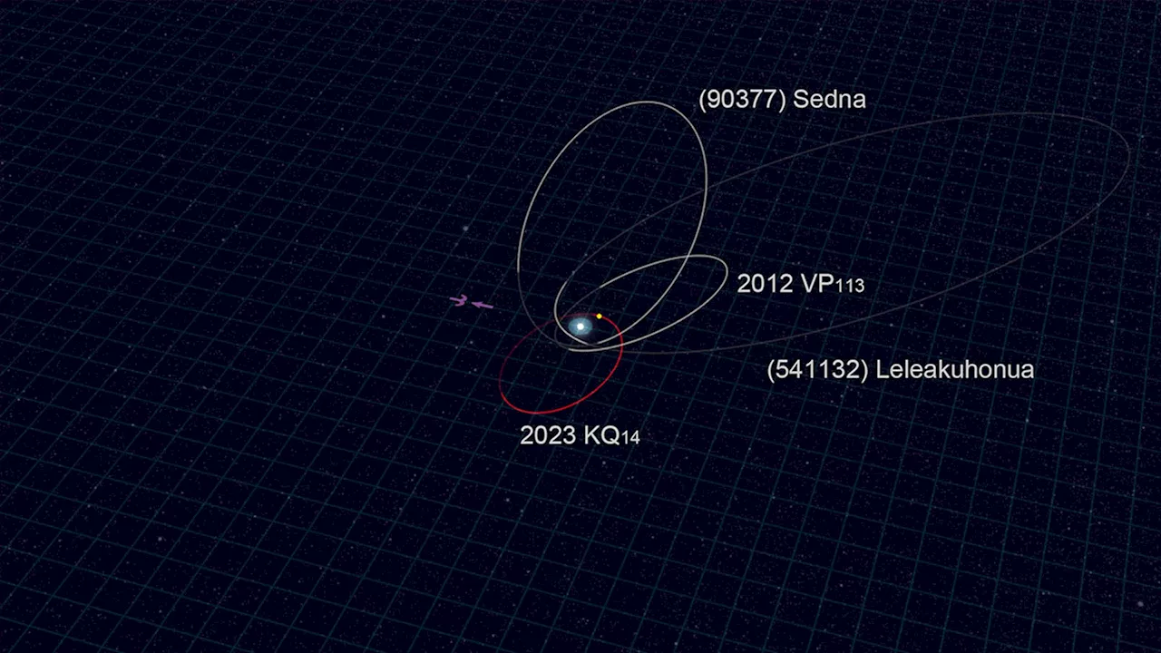 Astronomers discover new dwarf planet 'Ammonite' — and it could upend the existence of Planet Nine