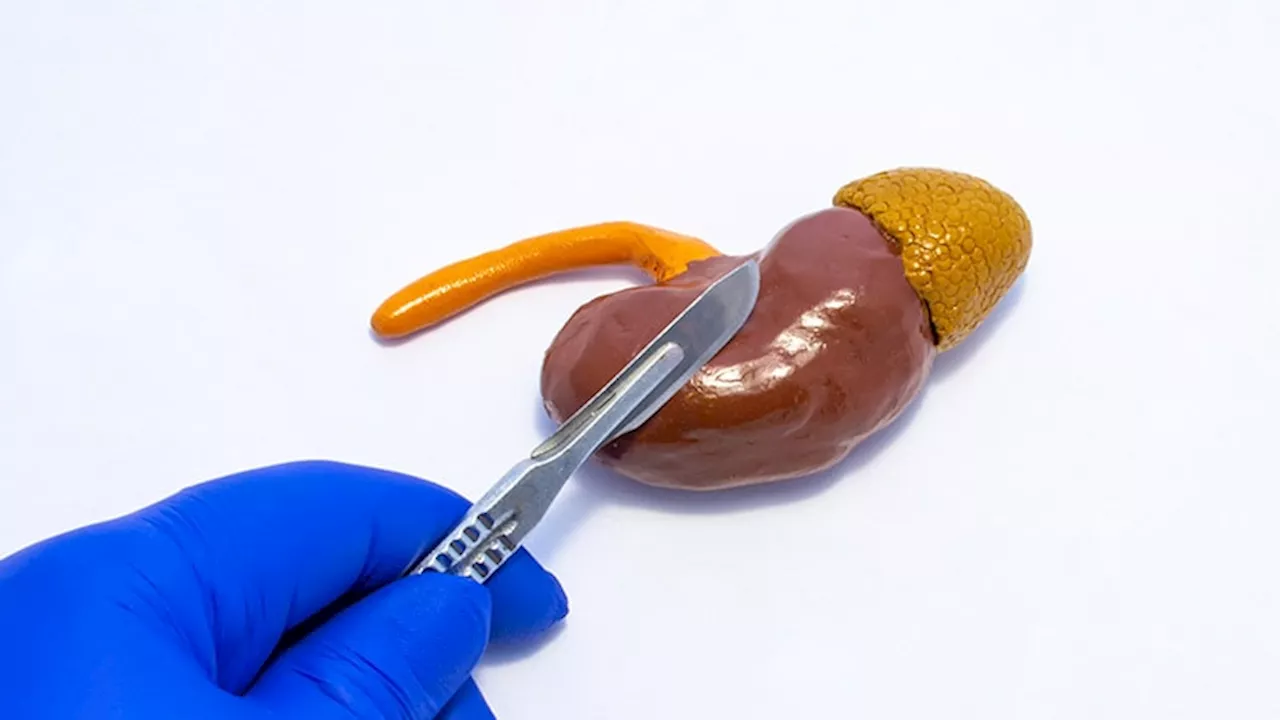 Drug Level Changes Predict Renal Transplant Success in Kids