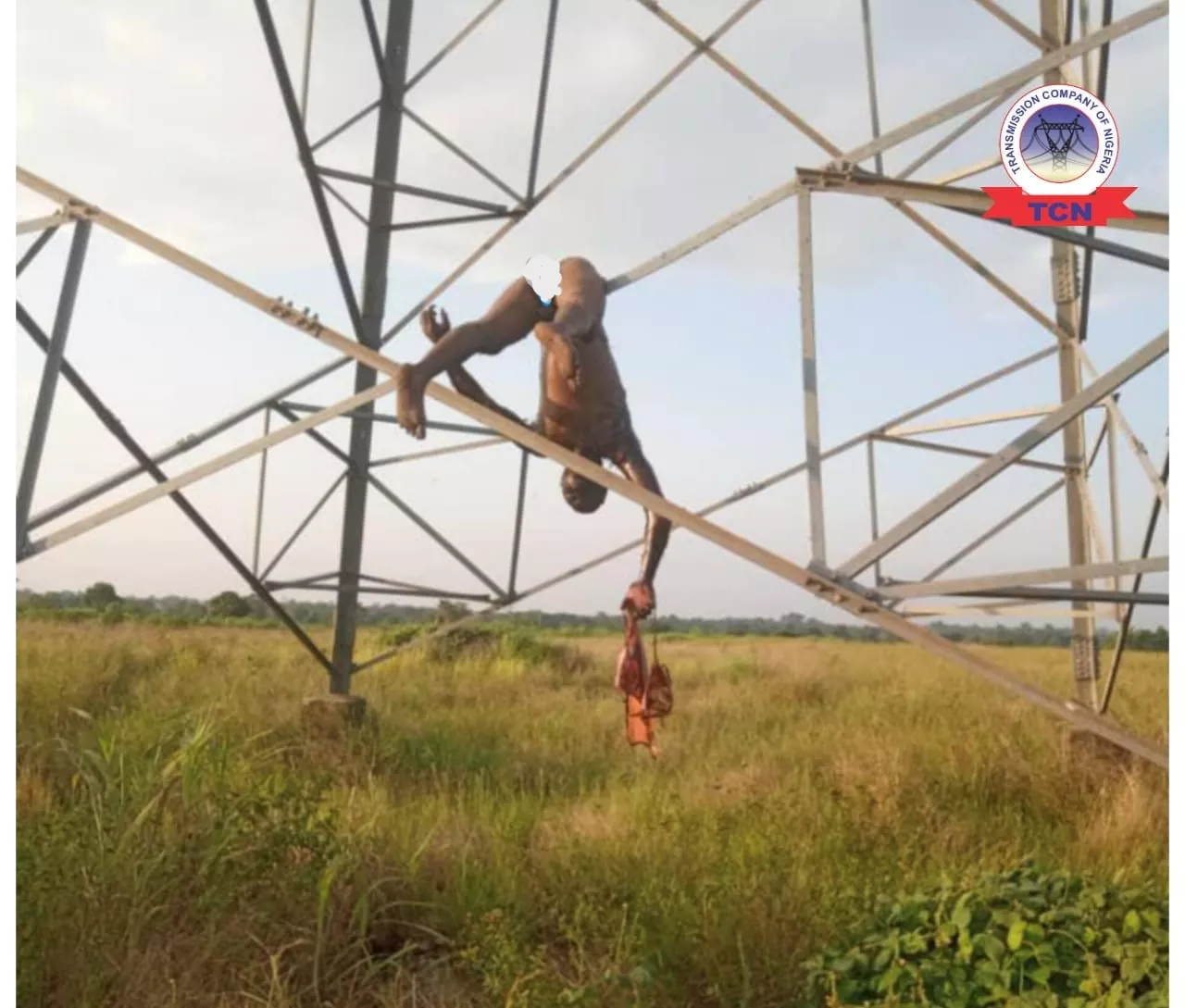 JUST IN: Accomplices flee as vandal meets waterloo on electricity transmission line [PHOTO]