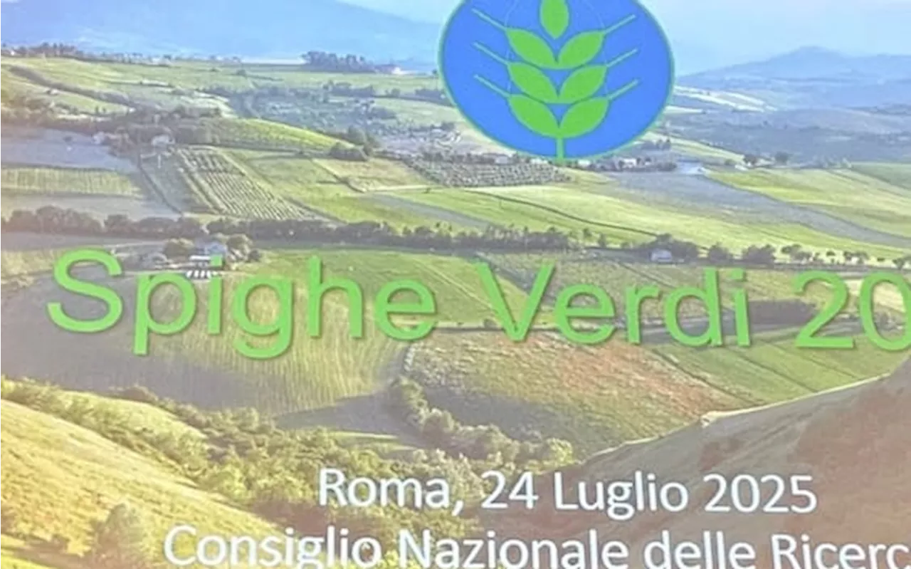 Spighe Verdi 2025, 90 Comuni rurali virtuosi: la classifica regione per regione