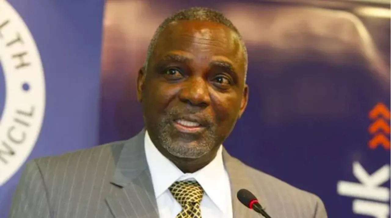 Barth Nnaji says inadequate investment behind Nigeria's gas shortage