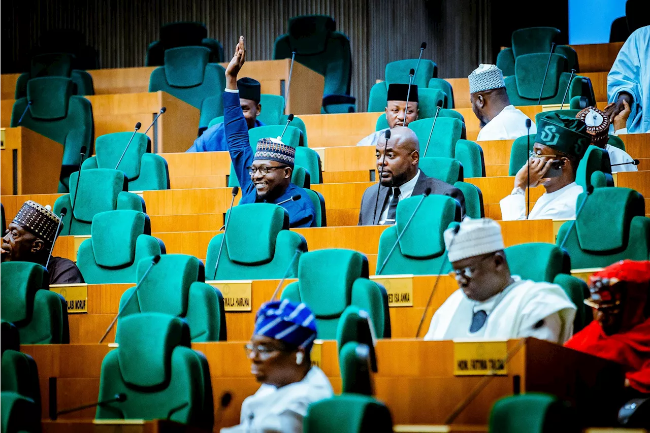 Reps advance bill to establish project monitoring agency