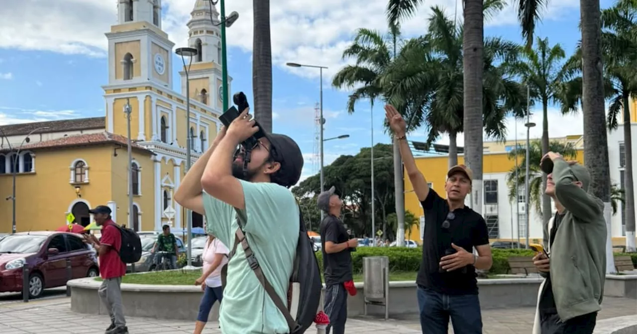 Bucaramanga tendrá pajareada urbana: prográmese con aves, acuarela y café