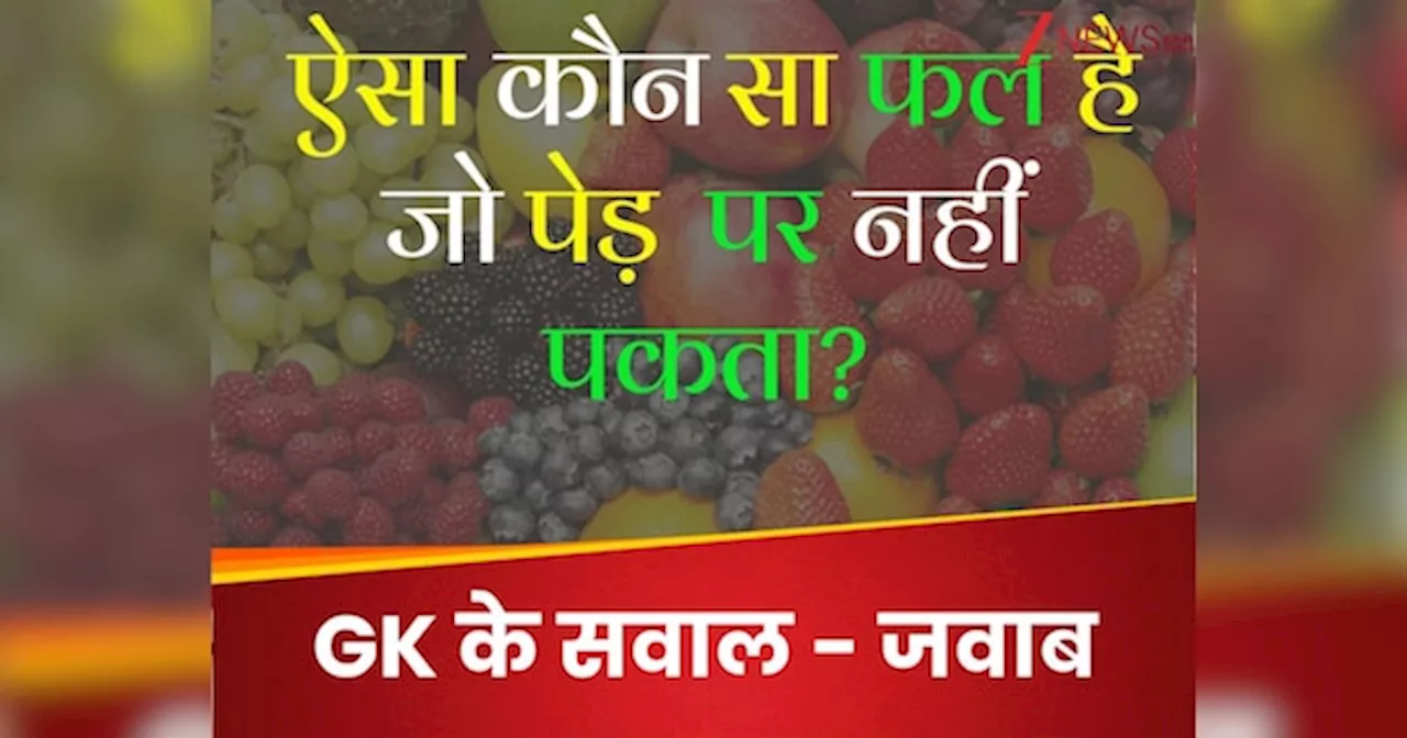 GK Quiz: ऐसा कौन सा फल है जो पेड़ पर नहीं पकता?