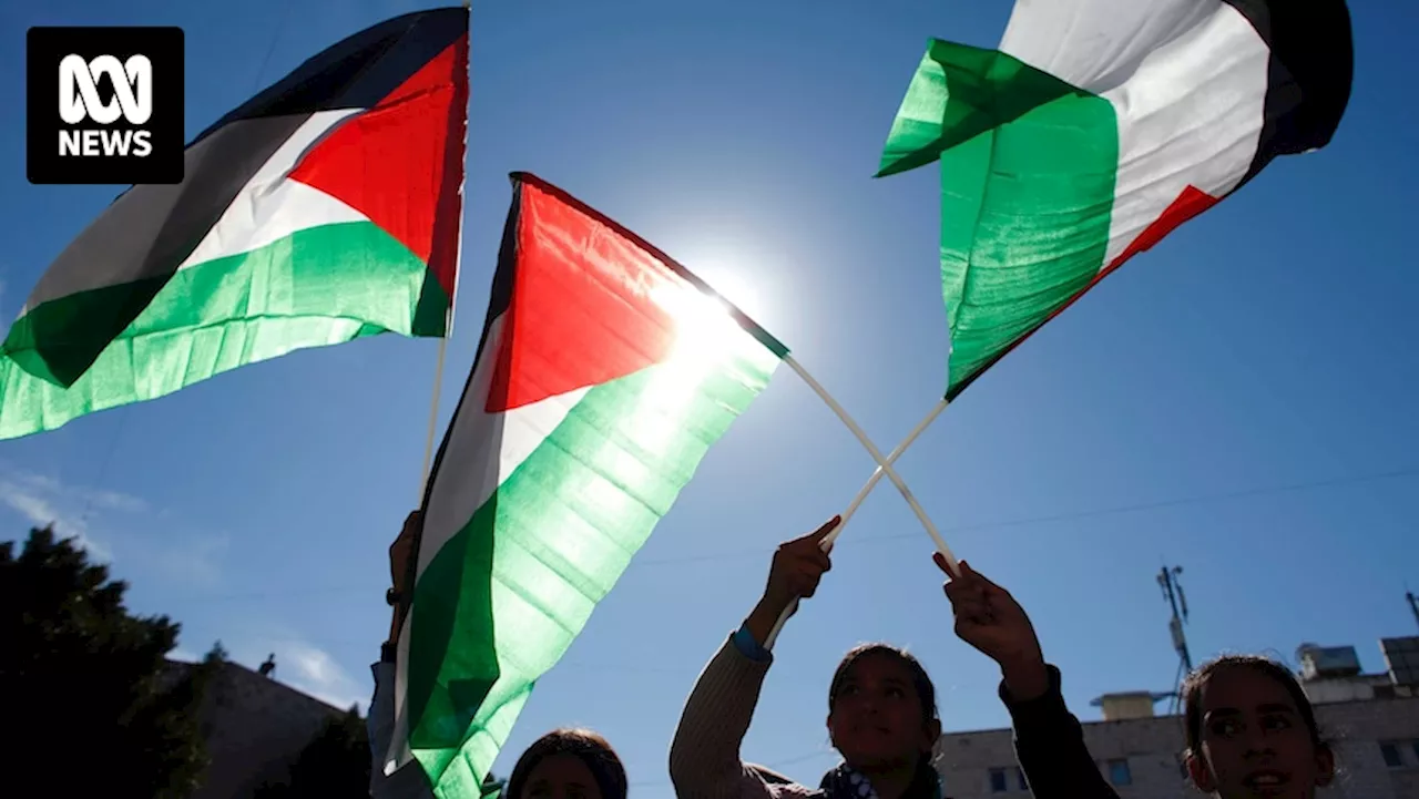 Which countries recognise the state of Palestine. What would statehood look like?