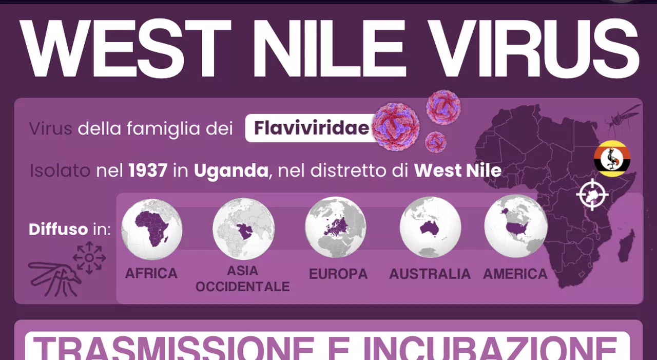 West Nile, 31enne in terapia intensiva a Latina. La sorella: «Siamo sconvolti, mio fratello è uno sportivo e n