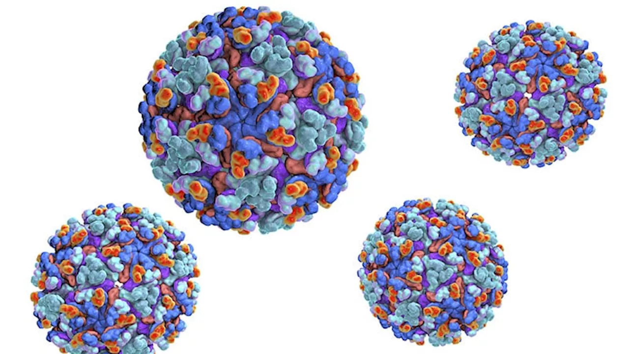 WHO Issues First Global Arbovirus Guidelines