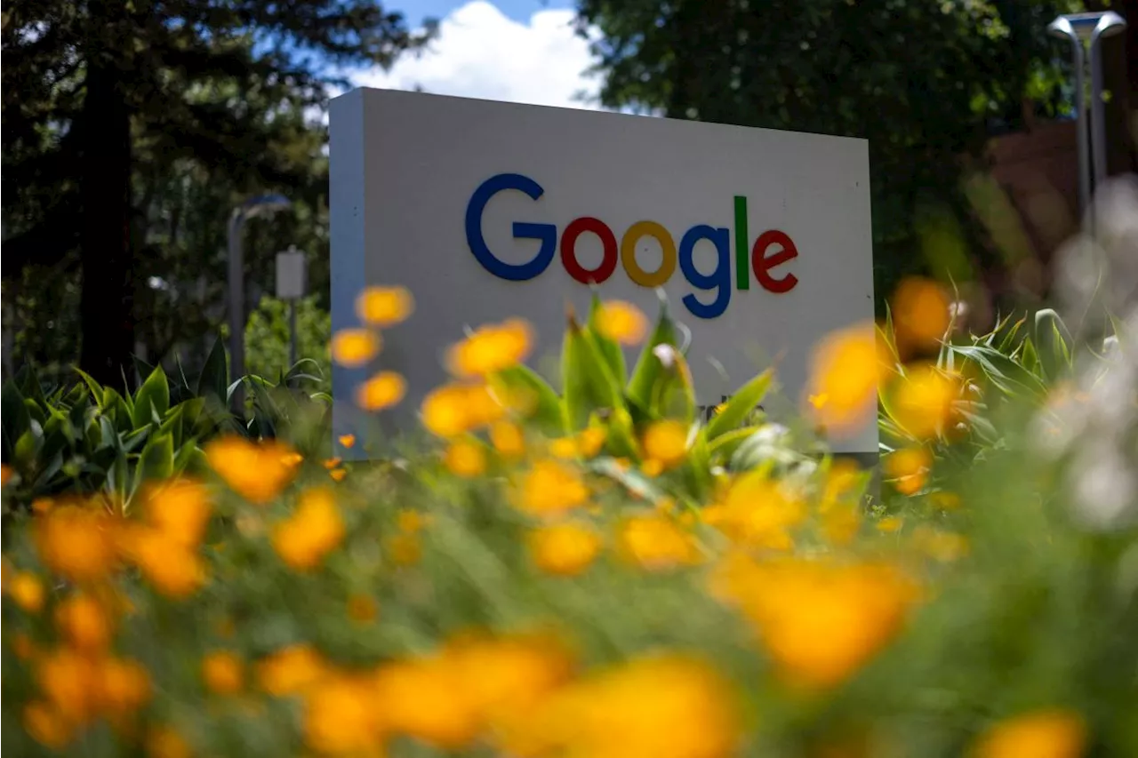 Google ordered to pay Argentine pictured naked in his yard