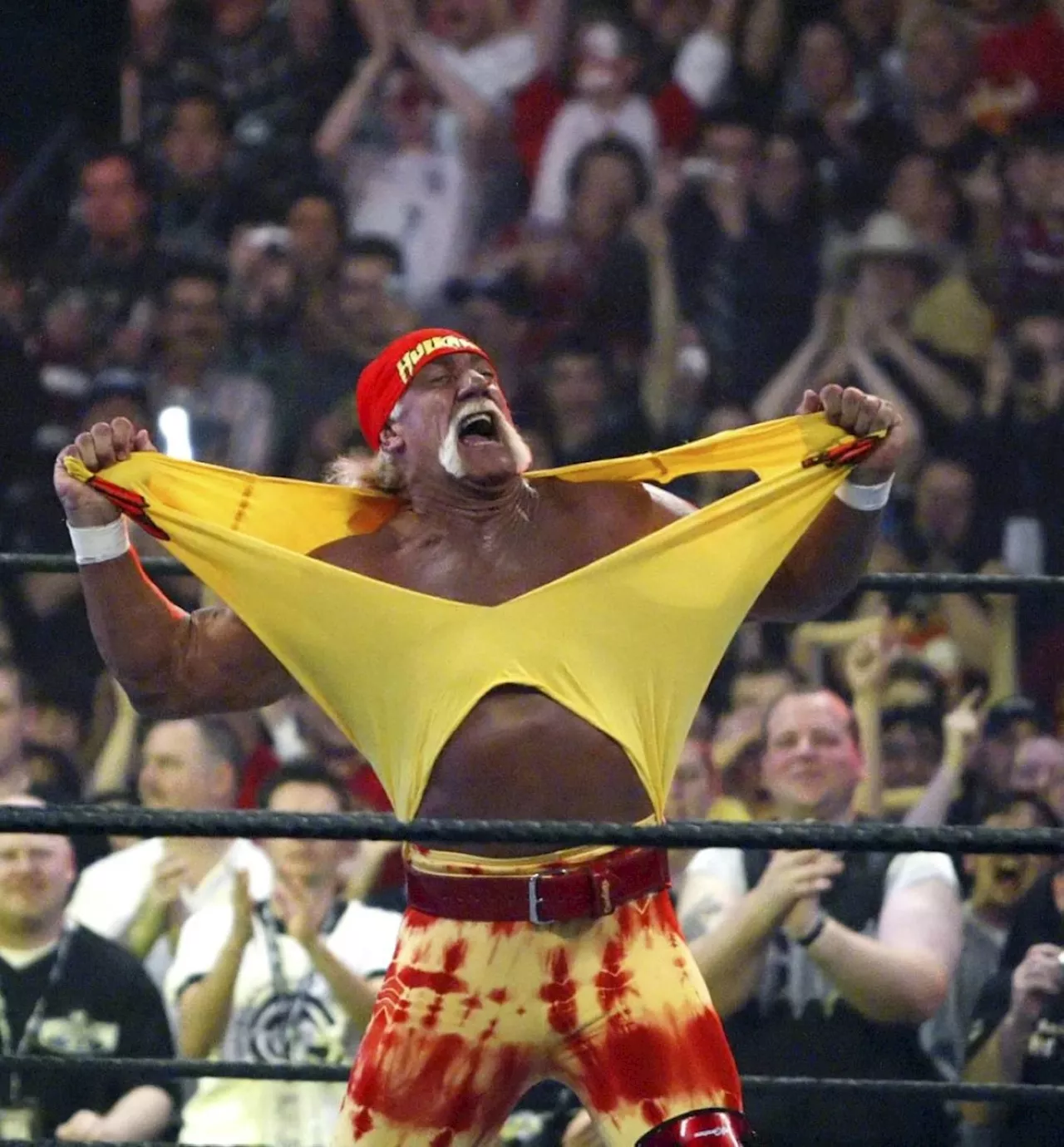 Hulk Hogan, icon of professional wrestling, dies at 71