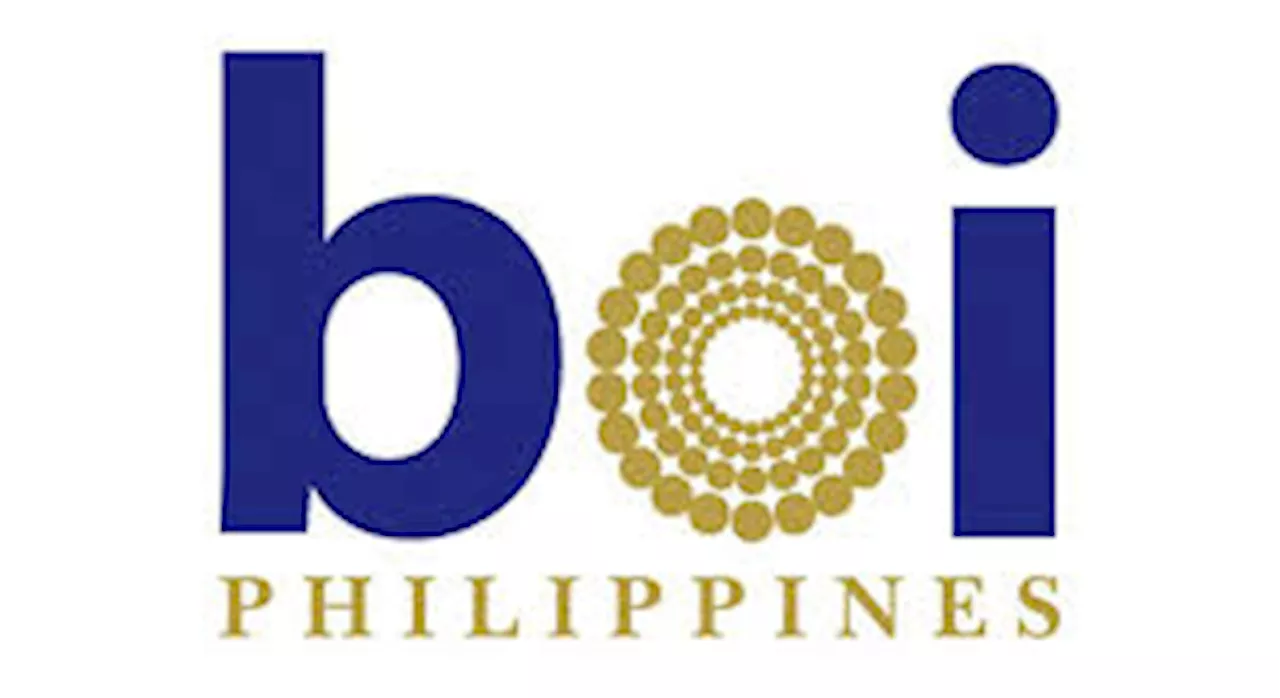 BOI pitches green energy, e-mobility to foreign investors