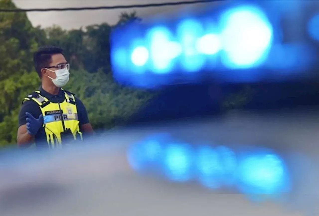 Cops tracking down suspects involved in burglary at Dr M's grandchild's house