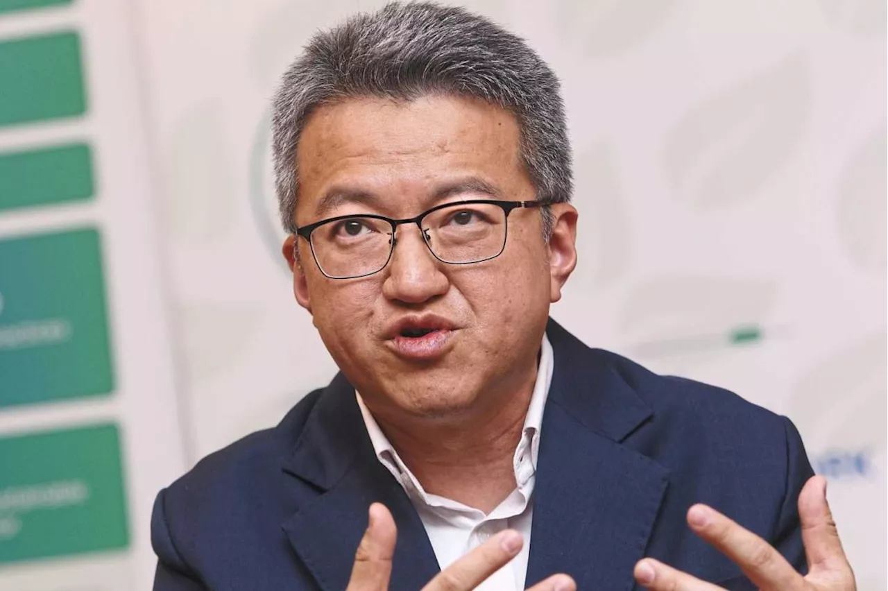 Country needs a constructive opposition, says Liew