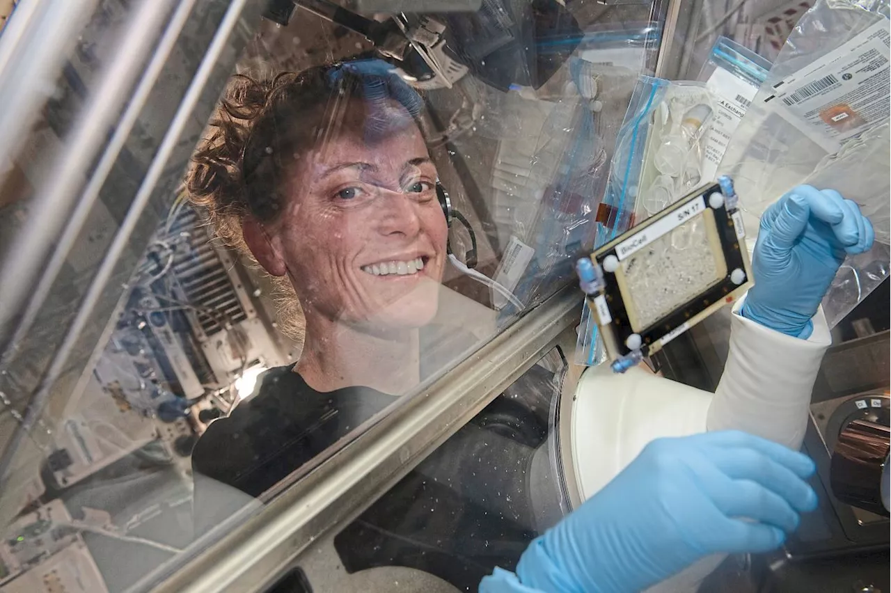 Investigating stem cells in space to benefit Earthlings